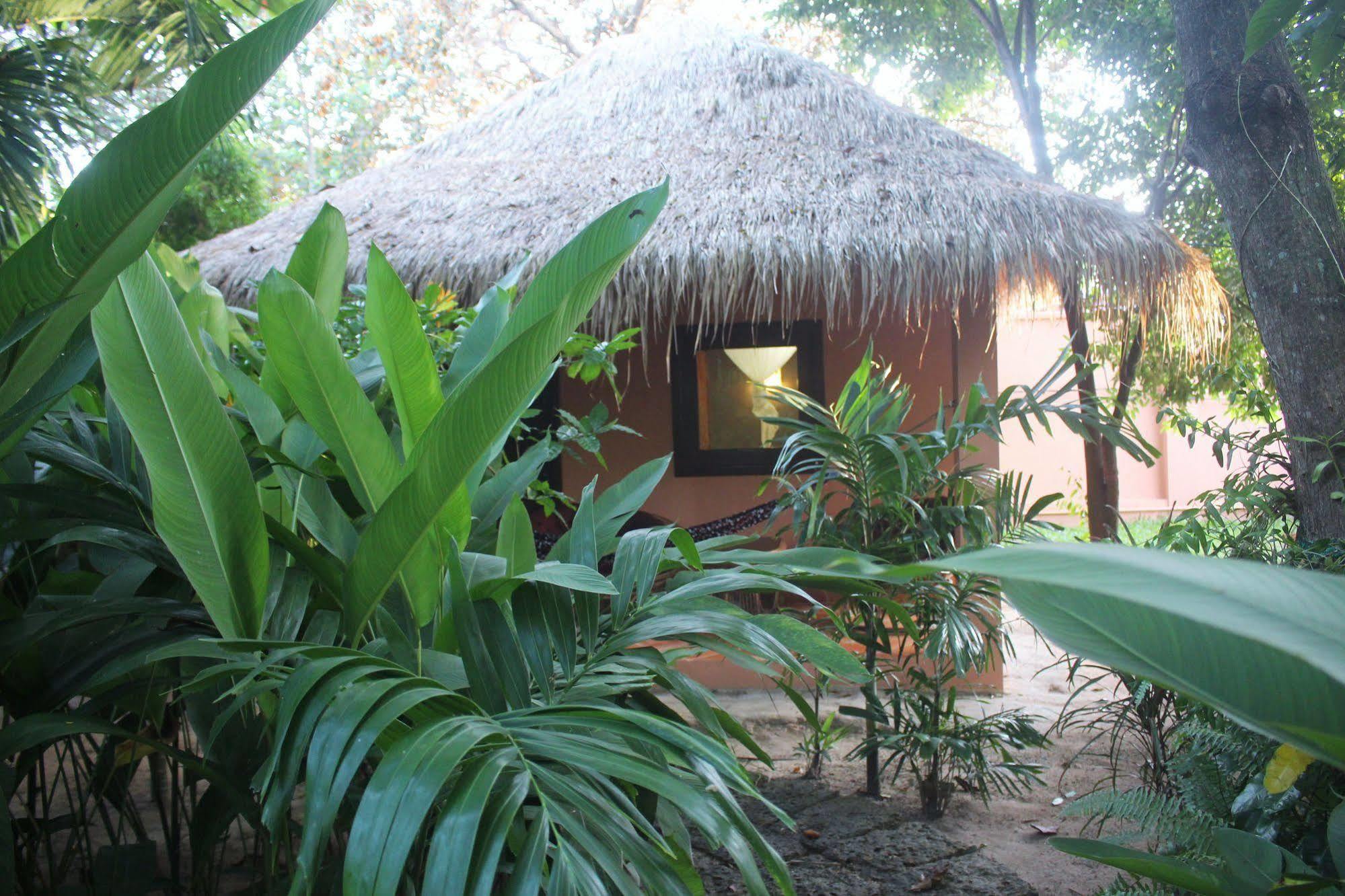 Botanica pensión Kep Exterior foto