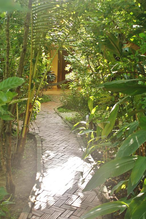 Botanica pensión Kep Exterior foto