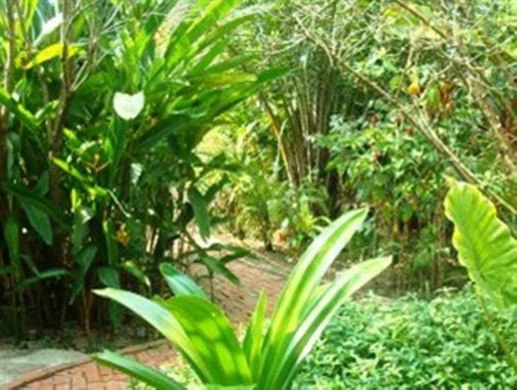 Botanica pensión Kep Exterior foto